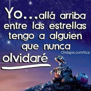 Meet your Posher, Hector